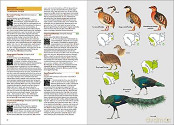 Birds of Cambodia - Cambodia Bird Guide Association (CBGA) [KSIĄŻKA]
