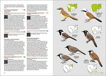 Birds of Cambodia - Cambodia Bird Guide Association (CBGA) [KSIĄŻKA]