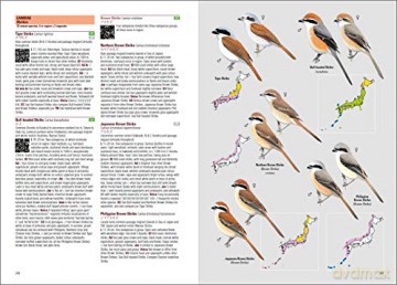 Birds of Japan - Otani Chikara [KSIĄŻKA]