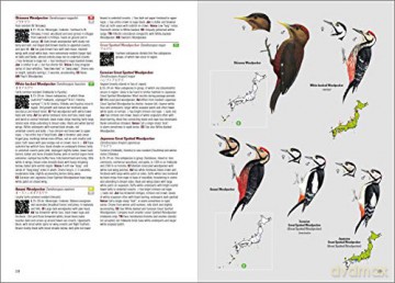 Birds of Japan - Otani Chikara [KSIĄŻKA]