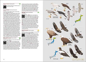 Birds of Japan - Otani Chikara [KSIĄŻKA]