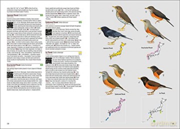 Birds of Japan - Otani Chikara [KSIĄŻKA]