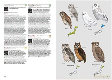 Birds of Japan - Otani Chikara [KSIĄŻKA]