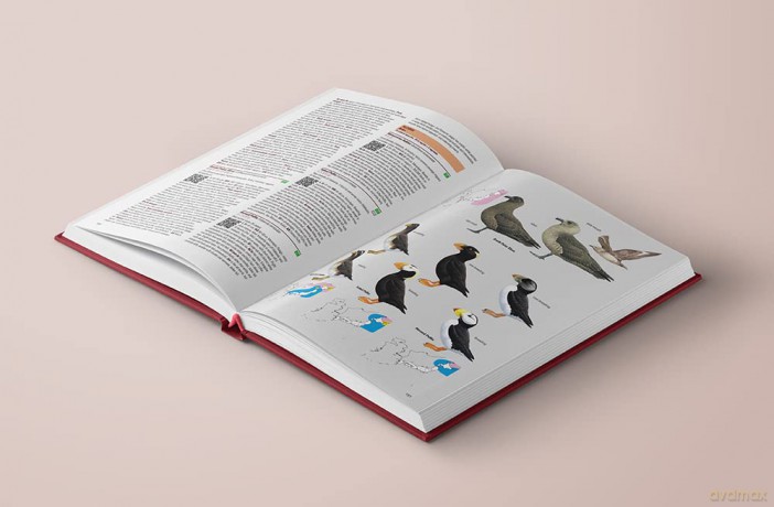 Birds of Japan - Otani Chikara [KSIĄŻKA]