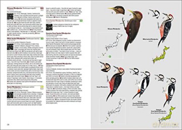 Birds of Japan - Otani Chikara [KSIĄŻKA]