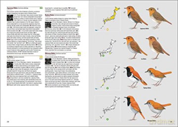 Birds of Japan - Otani Chikara [KSIĄŻKA]