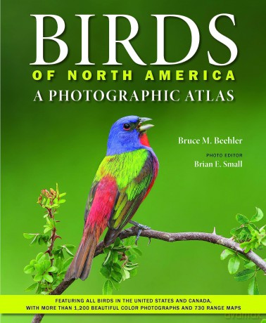 Birds of North America: A Photographic Atlas - Bruce M Beehler [KSIĄŻKA]