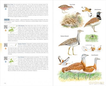Birds of Spain. 2nd Edition - Eduardo de Juana [KSIĄŻKA]