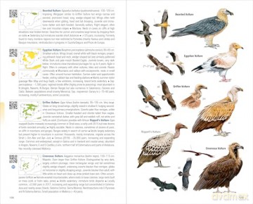 Birds of Spain. 2nd Edition - Eduardo de Juana [KSIĄŻKA]