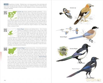 Birds of Spain. 2nd Edition - Eduardo de Juana [KSIĄŻKA]