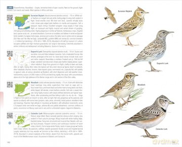 Birds of Spain. 2nd Edition - Eduardo de Juana [KSIĄŻKA]