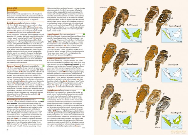 Birds of the Indonesian Archipelago - James A Eaton [KSIĄŻKA]