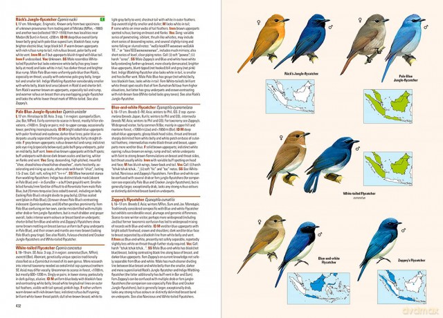 Birds of the Indonesian Archipelago - James A Eaton [KSIĄŻKA]