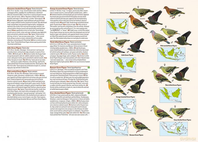 Birds of the Indonesian Archipelago - James A Eaton [KSIĄŻKA]