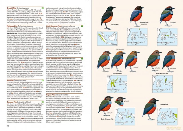 Birds of the Indonesian Archipelago - James A Eaton [KSIĄŻKA]