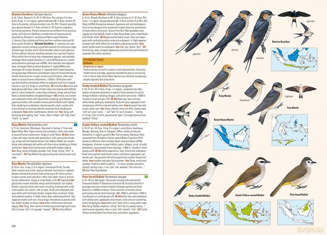 Birds of the Indonesian Archipelago - James A Eaton [KSIĄŻKA]
