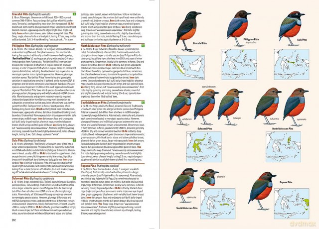 Birds of the Indonesian Archipelago - James A Eaton [KSIĄŻKA]