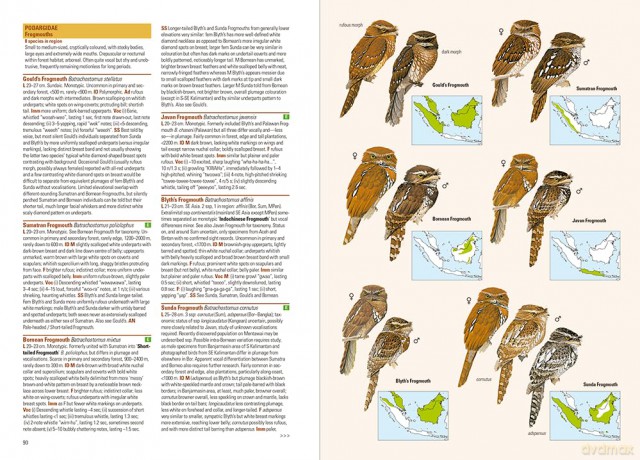 Birds of the Indonesian Archipelago - James A Eaton [KSIĄŻKA]