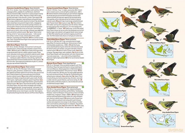 Birds of the Indonesian Archipelago - James A Eaton [KSIĄŻKA]