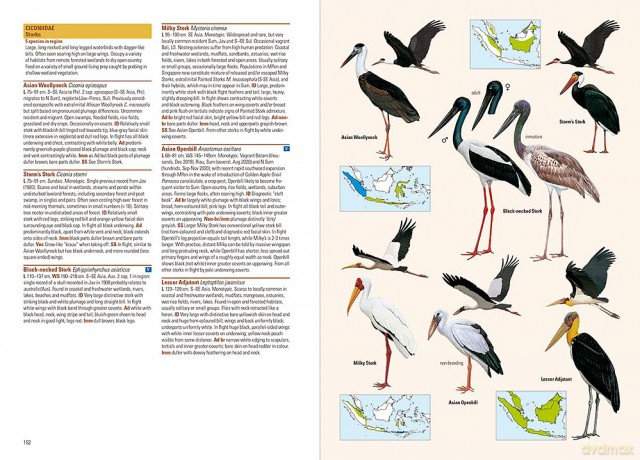 Birds of the Indonesian Archipelago - James A Eaton [KSIĄŻKA]