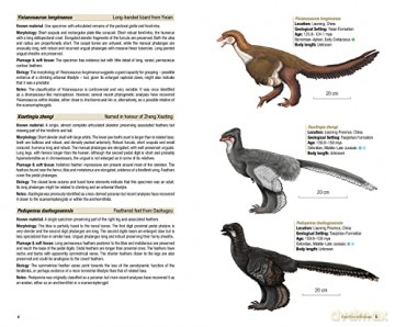 Birds of the Mesozoic - Juan Benito [KSIĄŻKA]