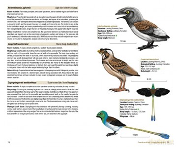 Birds of the Mesozoic - Juan Benito [KSIĄŻKA]