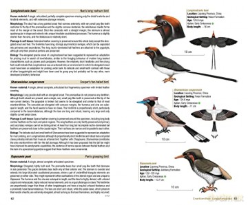 Birds of the Mesozoic - Juan Benito [KSIĄŻKA]