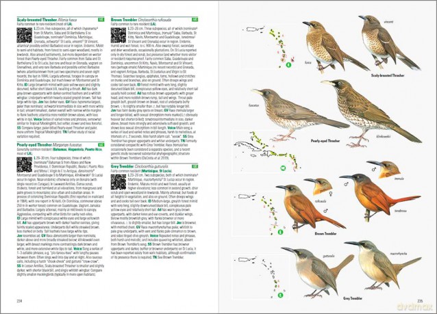 Birds of the West Indies - Guy M Kirwan [KSIĄŻKA]