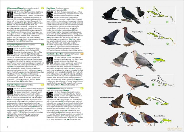Birds of the West Indies - Guy M Kirwan [KSIĄŻKA]
