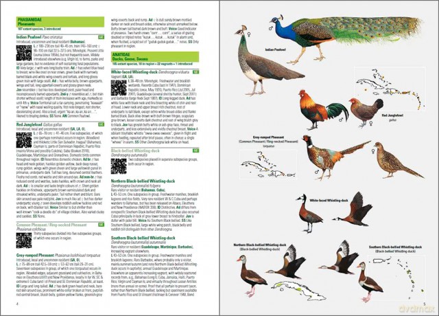 Birds of the West Indies - Guy M Kirwan [KSIĄŻKA]
