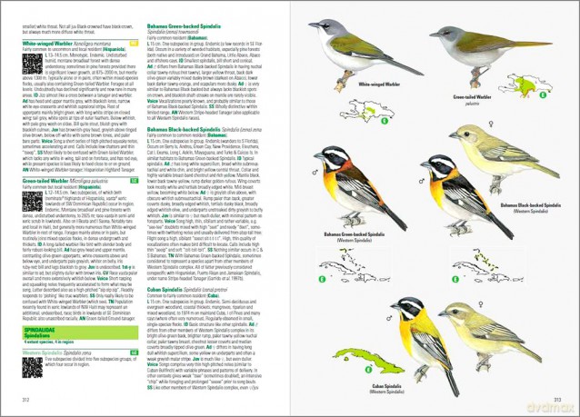 Birds of the West Indies (Lynx and BirdLife International Field Guides Collection) - Guy M. Kirwan [KSIĄŻKA]