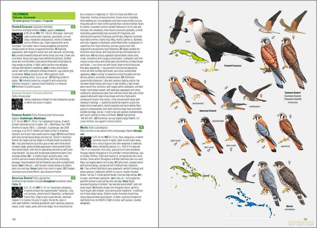 Birds of the West Indies (Lynx and BirdLife International Field Guides Collection) - Guy M. Kirwan [KSIĄŻKA]