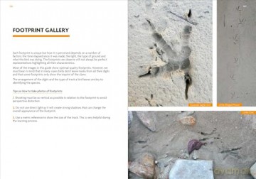 Birds That Leave Their Mark. Tracks and Signs of Birds in South-west Europe - Luisa Abenza [KSIĄŻKA]