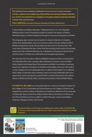 Black Britain and Nelson Mandela: "Pulling the Branch of a Tree" - Elizabeth Williams [KSIĄŻKA]
