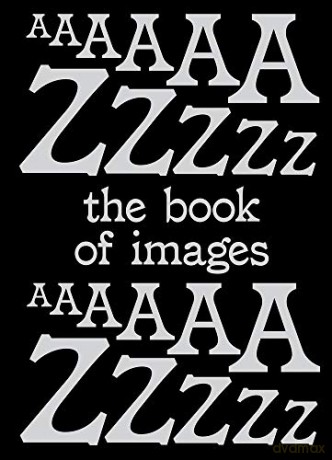 Book of Images: An illustrated dictionary of visual experiences - Stefano Stoll [KSIĄŻKA]