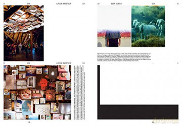 Book of Images: An illustrated dictionary of visual experiences - Stefano Stoll [KSIĄŻKA]
