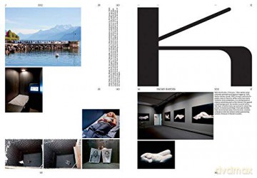 Book of Images: An illustrated dictionary of visual experiences - Stefano Stoll [KSIĄŻKA]