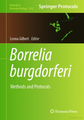 Borrelia burgdorferi: Methods and Protocols: 2742 (Methods in Molecular Biology, 2742) - Leona Gilbert [KSIĄŻKA]