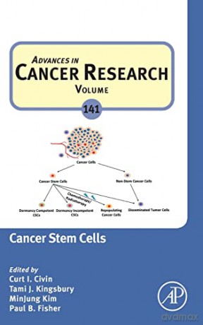 Cancer Stem Cells (Volume 141) (Advances in Cancer Research, Volume 141) - Curt I. Civin [KSIĄŻKA]