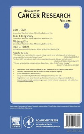 Cancer Stem Cells (Volume 141) (Advances in Cancer Research, Volume 141) - Curt I. Civin [KSIĄŻKA]