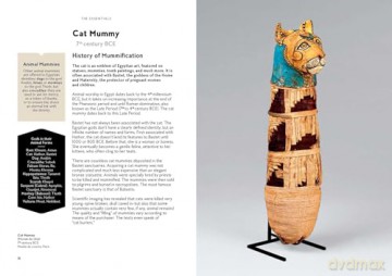 Cats in Art: From Prehistoric to Neo-Pop Masterpieces - Alix Paré [KSIĄŻKA]
