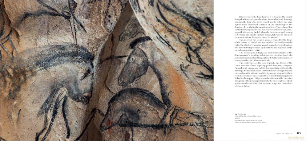 Chauvet Cave: Humanity's First Great Masterpiece - Carole Fritz [KSIĄŻKA]