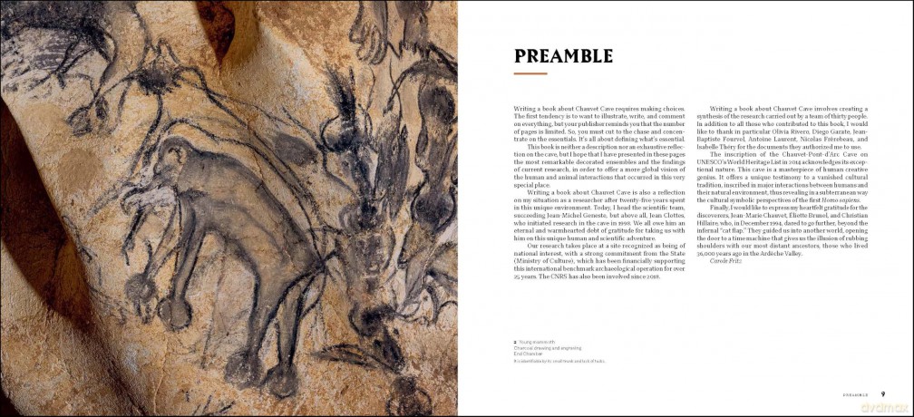 Chauvet Cave: Humanity's First Great Masterpiece - Carole Fritz [KSIĄŻKA]