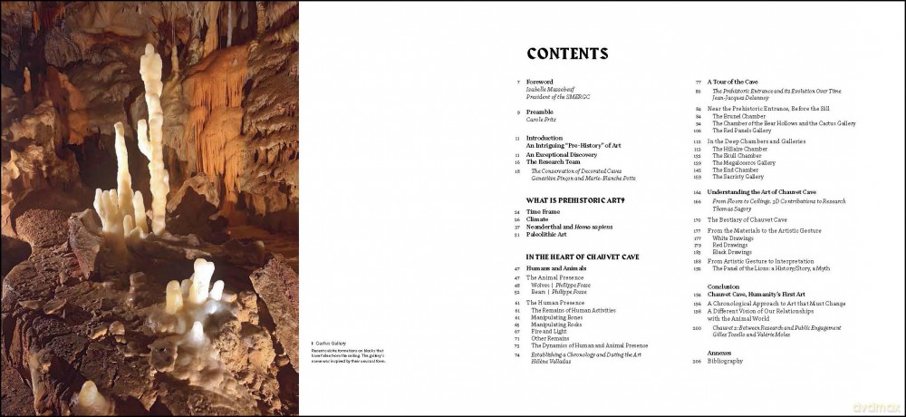 Chauvet Cave: Humanity's First Great Masterpiece - Carole Fritz [KSIĄŻKA]
