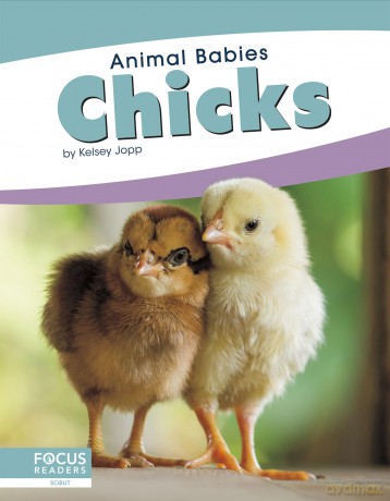 Chicks (Animal Babies) - Kelsey Jopp [KSIĄŻKA]