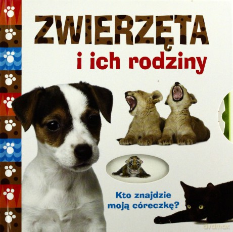 Zwierzęta i ich rodziny - Wilga Wydawnictwo [KSIĄŻKA]
