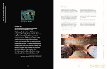 Compendium of the Occult: Arcane Artifacts, Magic Rituals, and Sacred Symbolism - Liz Williams [KSIĄŻKA]