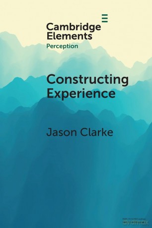 Constructing Experience: Expectation and Attention in Perception (Elements in Perception) - Jason Clarke [KSIĄŻKA]