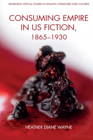 Consuming Empire in U.S. Fiction, 18651930 (Edinburgh Critical Studies in Atlantic Literatures and Cultures) - Heather D Wayne [KSIĄŻKA]