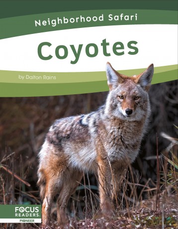 Coyotes (Neighborhood Safari Set 2) - Dalton Rains [KSIĄŻKA]